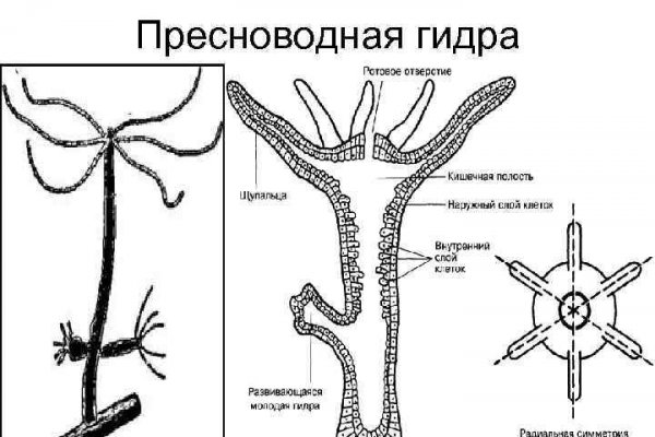 Зеркало омг омг рабочее на сегодня